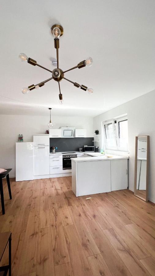 2 Zkb Apartment In Mannheim Kueche - Parken - Grosser Tv 外观 照片